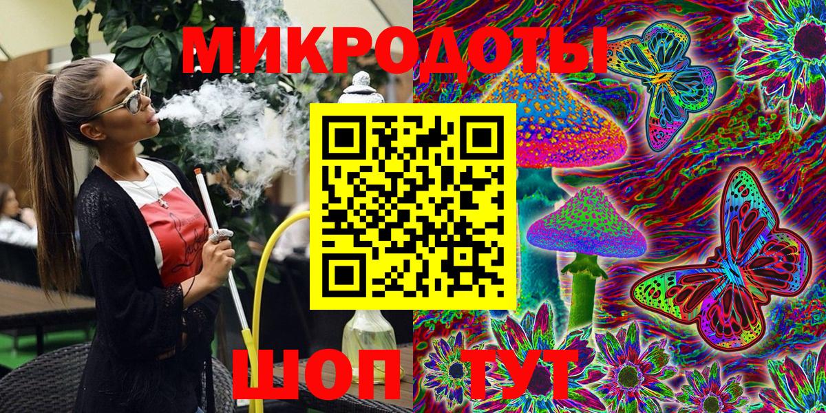 Псилоцибиновые грибы Psilocybe Черкесск
