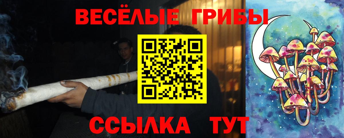 Черкесск  Псилоцибиновые грибы Psilocybe  где купить   Псилоцибиновые грибы Psilocybine cubensis  Вход с VPN 